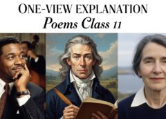 One-View Explanation Poems Class 11-Easy Notes for Students